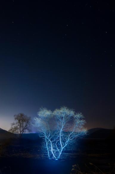 작품 썸네일