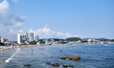 작품 썸네일