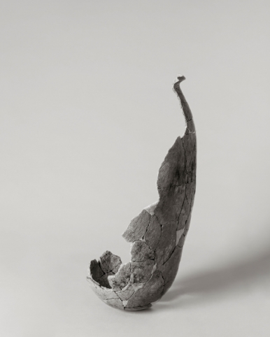 작품 썸네일