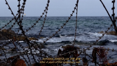 작품 썸네일