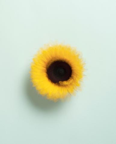 작품 썸네일