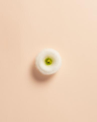 작품 썸네일